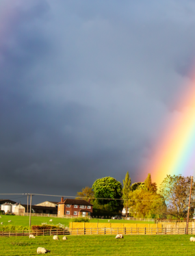 Scottish Fuels supports Pride