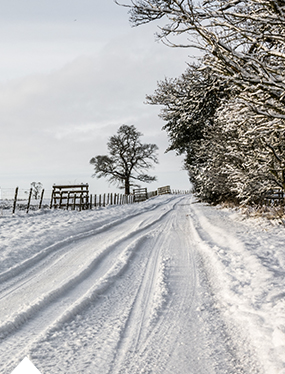 Winter
