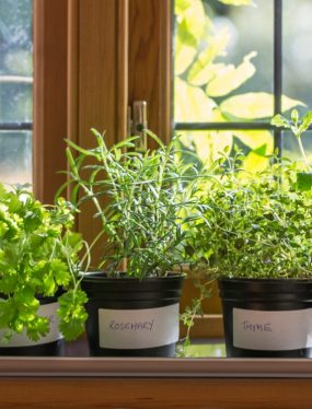 Some Tips on How to Live a More Sustainable Lifestyle