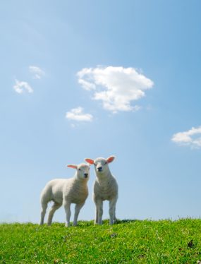 Easter Opening Times